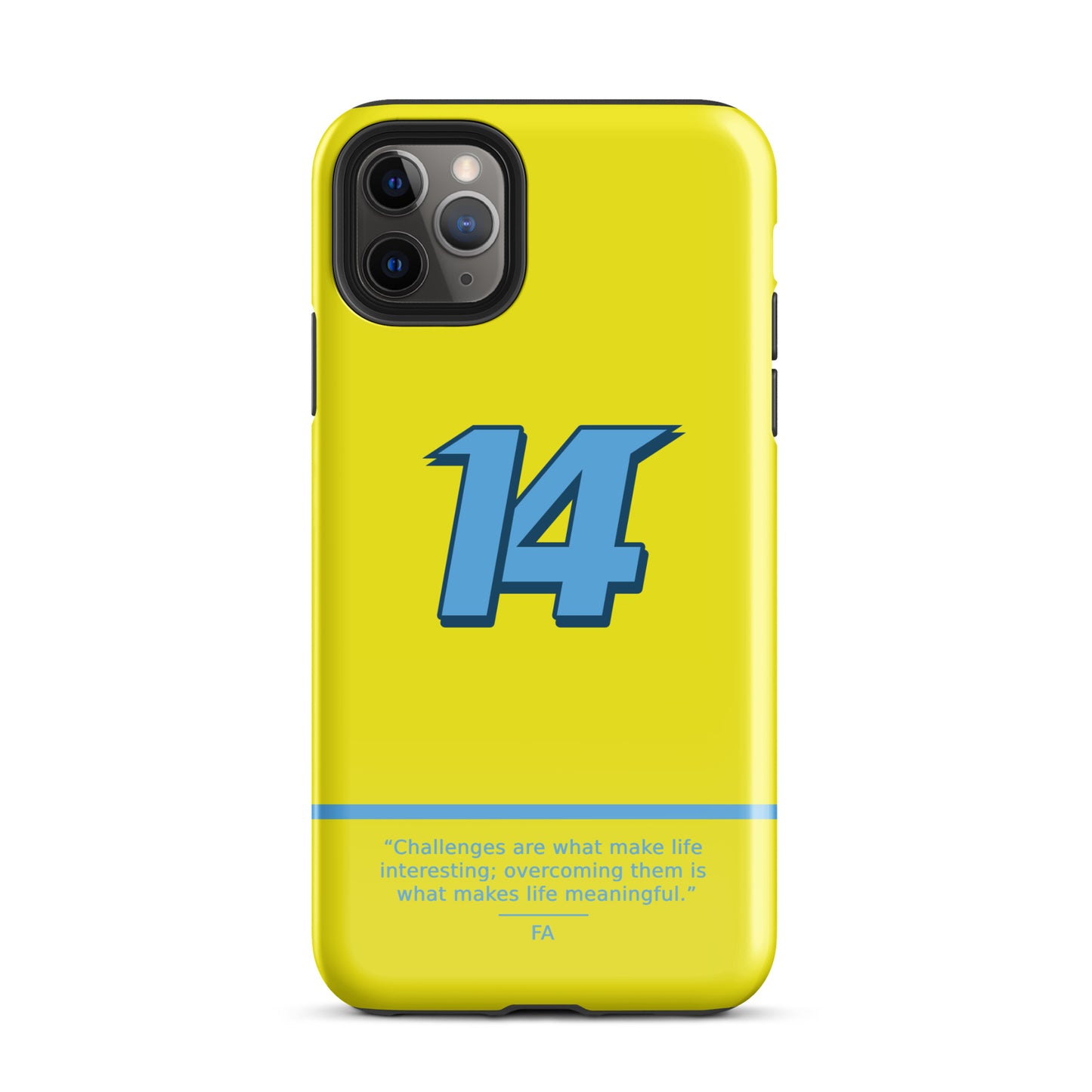 Fernando Alonso N14