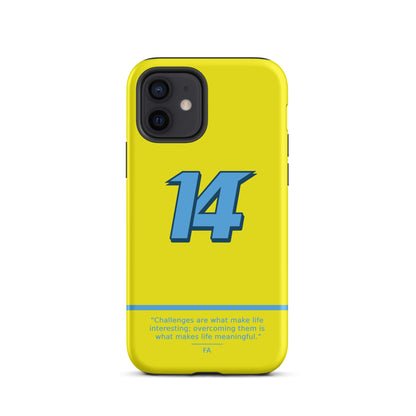 Fernando Alonso N14