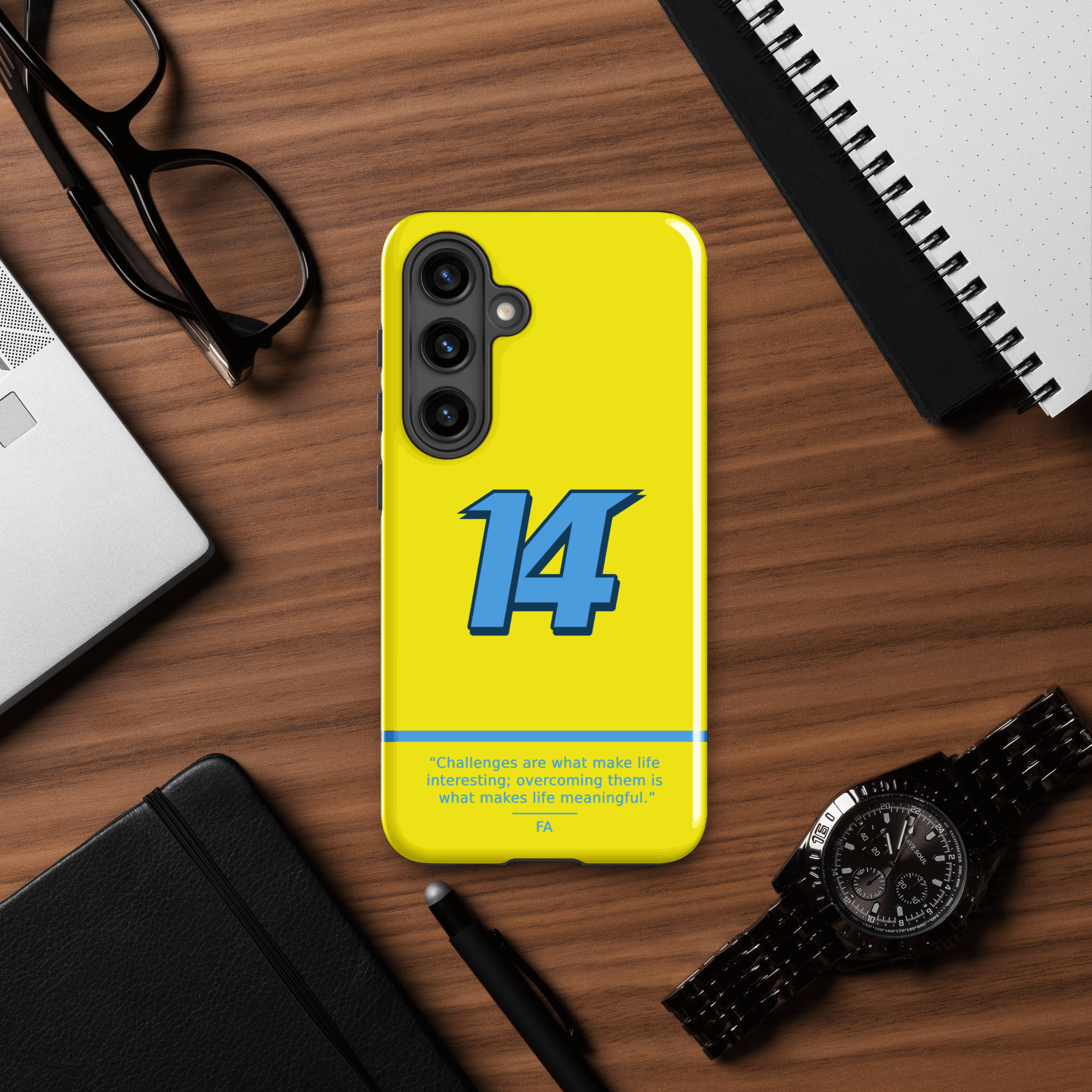 Fernando Alonso N14